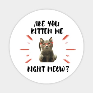 Are you Kitten Me Right Neow Magnet